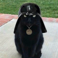 Илья Сергеев, 20.09.1983, Алматы