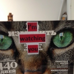 Zhou Xie, 04.04.1982, Москва