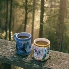 Ира Есипенко, Киев