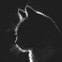 Александр Нечаев, 19.10.1987