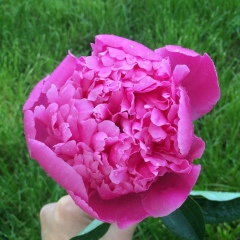 Айжан Адильбай, 16.05.1989, Алматы