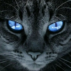 Илья Агалаков, 15.04.1980, Котлас