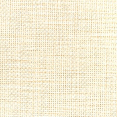 Владимир Швецов, Санкт-Петербург