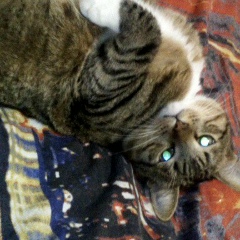 Венера Камалова, 28.09, Полазна