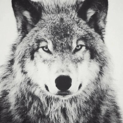 Куаныш Мусабаев, 19.04, Талдыкорган