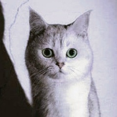 Андрей Андреев, 26.01, Макеевка