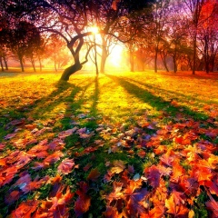 Polina Tokareva, 11.10.1993, Алматы