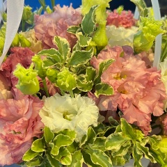 Юлия Юлия, 15.03, Москва