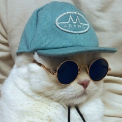 Муслим Магомадов, 18.05.1991, Грозный