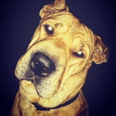 Евгений Аверин, 10.03.1990, Подольск