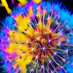 Маша Медведева, 15.10