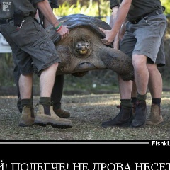 Игорь Викторович, 27.09.1990, Москва