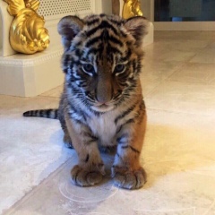 Акерке Рамазанова, 21.07.1996, Караганда