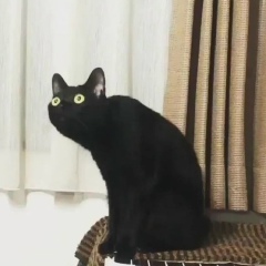 Максим Жабанов, 04.06