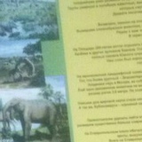 Егор Бахтинов