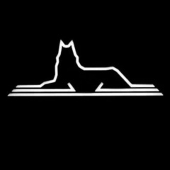 Зумсо Шамаев, 25.01, Волгоград