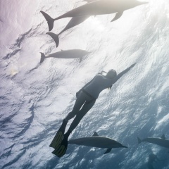 Екатерина Прокофьева, 06.04.1986
