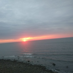 Дмитрий Затеев, Санкт-Петербург