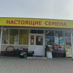 Лена Овинкина, Советский