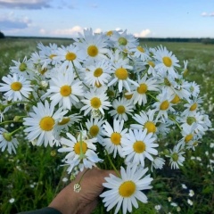 Ди Ди, 15.10, Омск