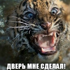 Юрий Юрьев, Благовещенск