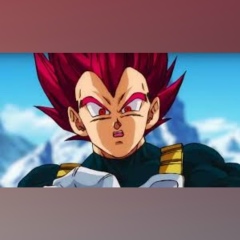 Vegeta Super, 20.12.2006