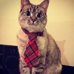 Гор Мардоян, 19.05.1999, Москва