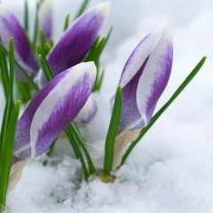 Zhaina Dzhanabaeva, 07.12.1987, Жанаозен