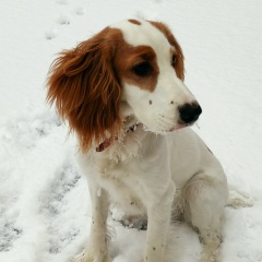 Дмитрий Глазырин, Екатеринбург