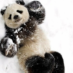 Александр Цап, 04.02.1980, Харьков