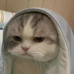 Алия Алдажанова, 27.12.1995