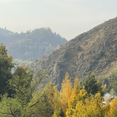 Marjona Rahimova, 15.05, Алматы