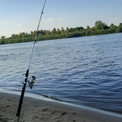 Igor Nihk, Горки