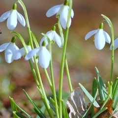 Ирина Лёгкая, 10.01, Усть-Каменогорск