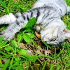 Вероника Боровикова, 23.03.1983, Бишкек