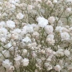 Laura Janturganova, 04.12.1994, Алматы