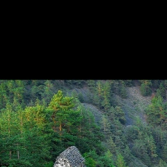 Умар Эльсаев, Чурч-Ирзу
