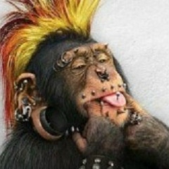 Vova-kobra ???, 17.06.1977