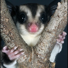 Олеся Кириллова, 21.11, Санкт-Петербург