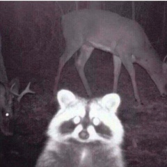 Zholaman Kapashev, 01.04.1996