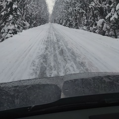 Алексей Дремов, 05.11.1988, Санкт-Петербург