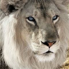 Илья Гершбург, 26.07, Praha