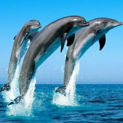 Анна Терещенко, 01.03, Одесса