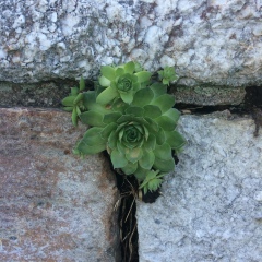 Мария Панцевич, 18.07, Гродно
