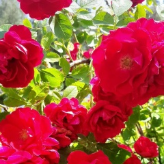 Юля Женина, 13.09, Москва