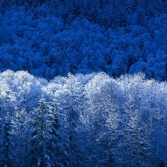 Жахонгир Джуманиязов, 17.06, Санкт-Петербург