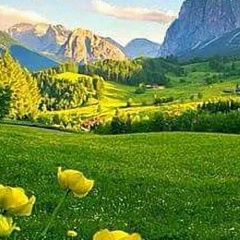 Анюта Барабанова, 13.08, Бузулук