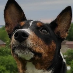 Дмитрий Попов, 30.11, Ярославль