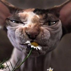 Кирилл Ададуров, 23.08