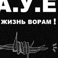 Арут Андреасян, 26.04.1995, Саратов